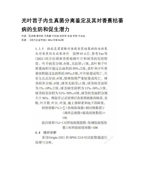 光叶苕子内生真菌分离鉴定及其对香蕉枯萎病的生防和促生潜力