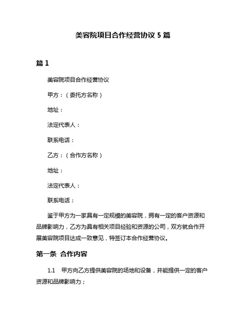 美容院项目合作经营协议5篇