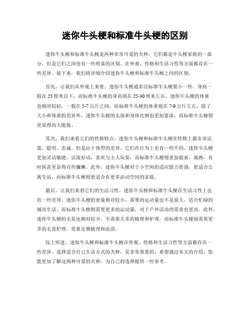 迷你牛头梗和标准牛头梗的区别