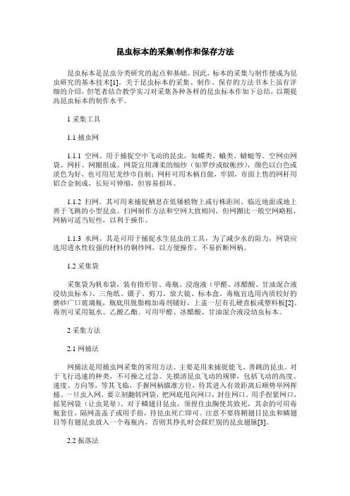 昆虫标本的采集-制作和保存方法