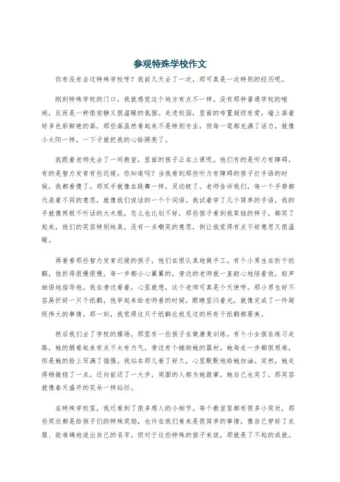 参观特殊学校作文