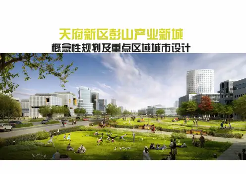 天府新区彭山产业新城概念性规划及重点区域城市设计