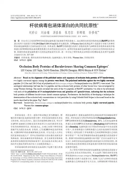 杆状病毒包涵体蛋白的共同抗原性