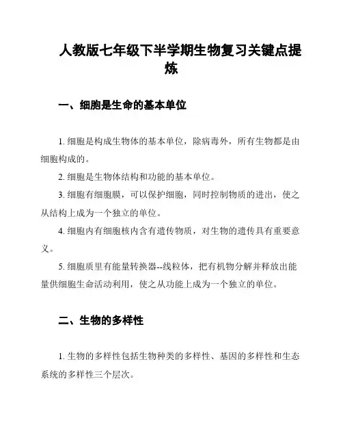 人教版七年级下半学期生物复习关键点提炼