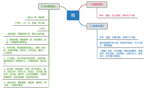 蕺_思维导图_中药学_药材来源详解