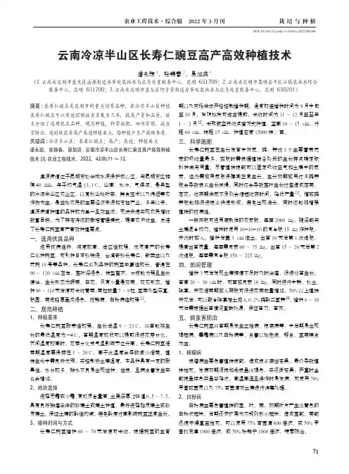 云南冷凉半山区长寿仁豌豆高产高效种植技术