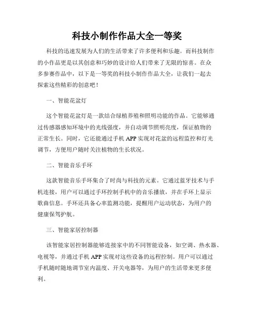 科技小制作作品大全一等奖