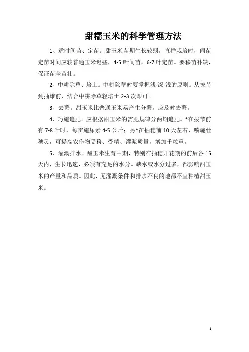 甜糯玉米的科学管理方法