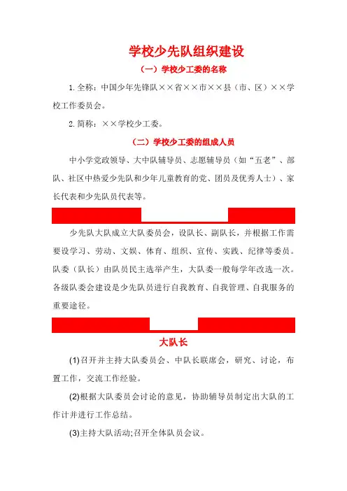 学校少先队组织建设