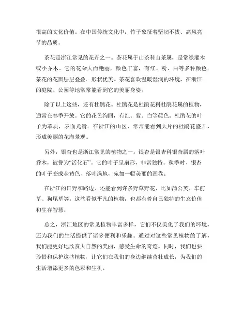 常见的植物浙教版