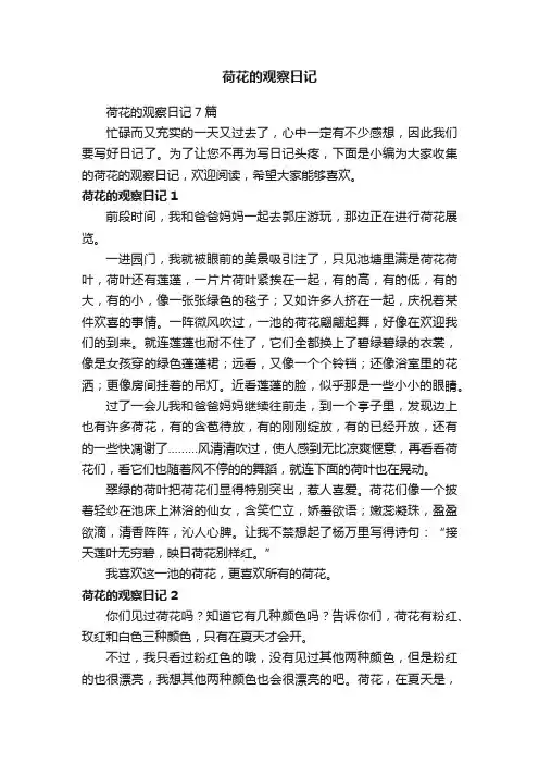 荷花的观察日记7篇