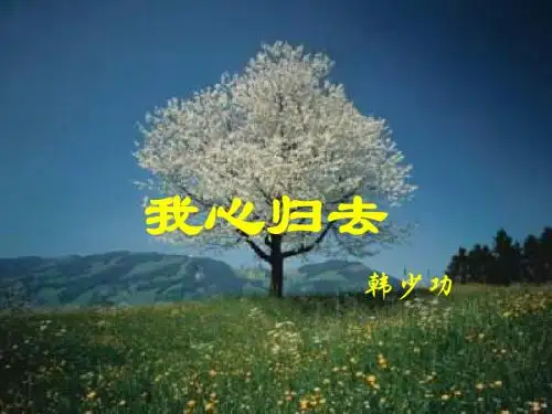 我心归去 韩少功