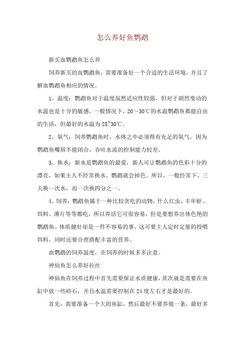 怎么养好鱼鹦鹉