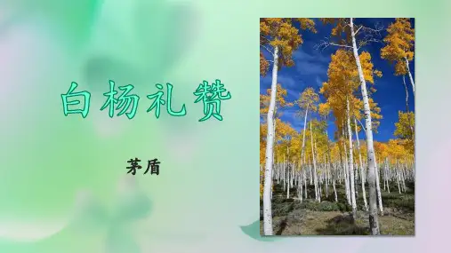 《白杨礼赞》ppt课件