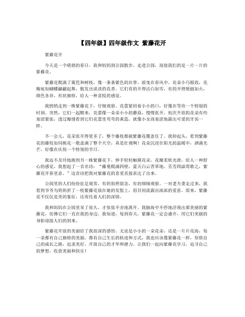 【四年级】四年级作文 紫藤花开