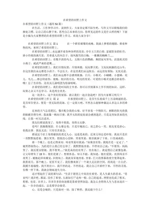 在希望的田野上作文