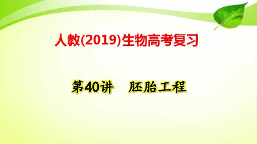人教(2019)生物高考复习：第40讲 胚胎工程