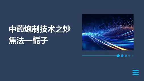 中药炮制技术之炒焦法—栀子