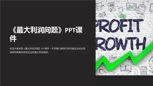 《最大利润问题》课件