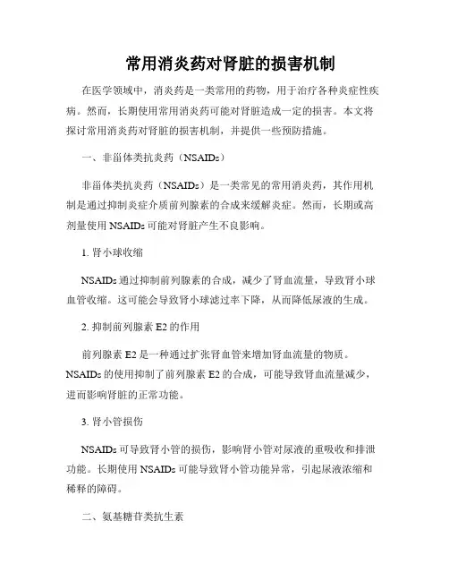    常用消炎药对肾脏的损害机制