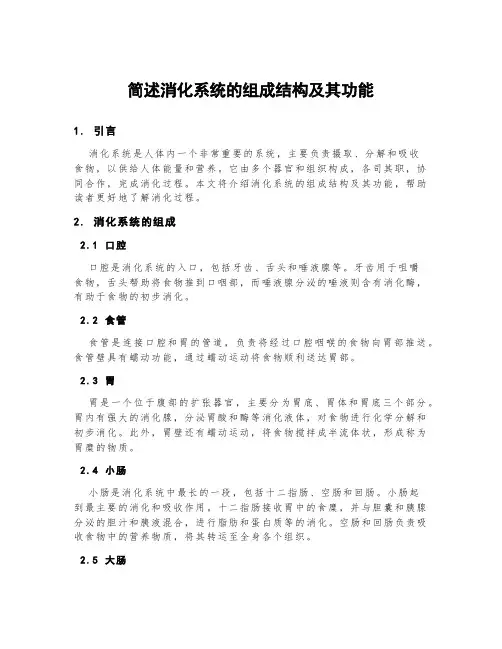 简述消化系统的组成结构及其功能