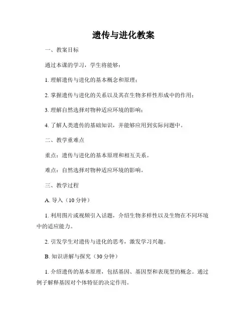 遗传与进化教案