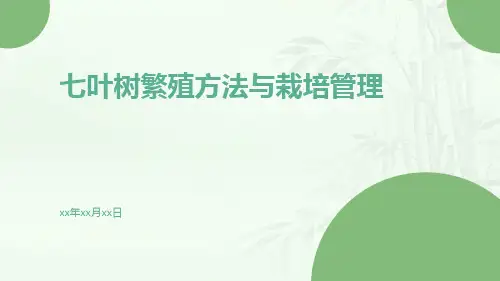 七叶树繁殖方法与栽培管理