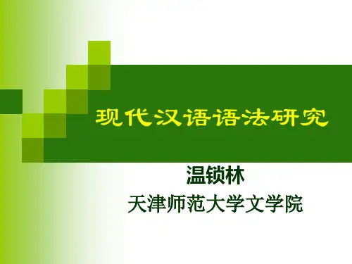 现代汉语语法研究(一)
