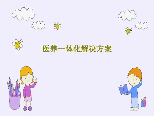 医养一体化解决方案PPT文档47页