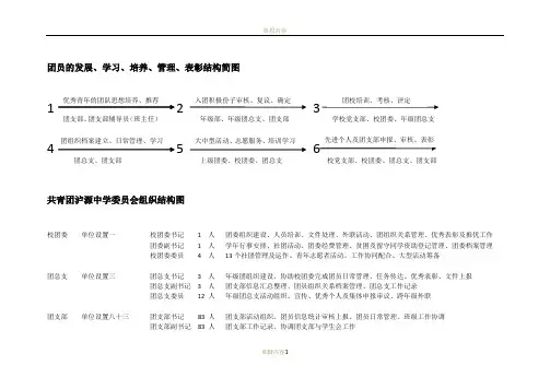 中学团组织结构图