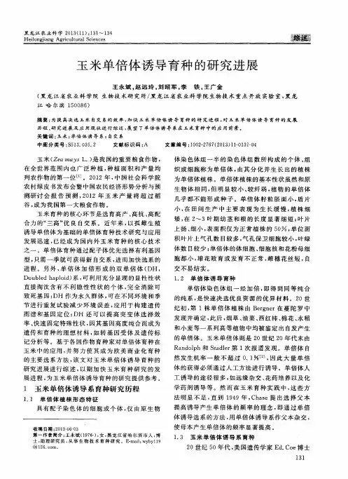 玉米单倍体诱导育种的研究进展