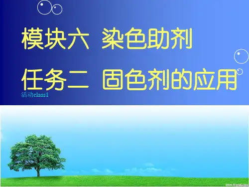 6.2固色剂的应用与测试