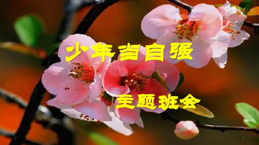 少年当自强主题班会精品课件(22张ppt)