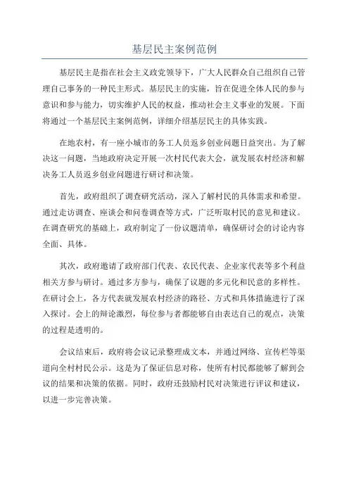 基层民主案例范例