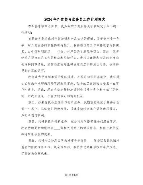 2024年外贸实习业务员工作计划例文(三篇)