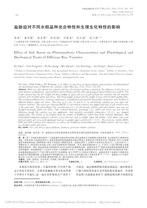 盐胁迫对不同水稻品种光合特性和生理生化特性的影响_徐晨