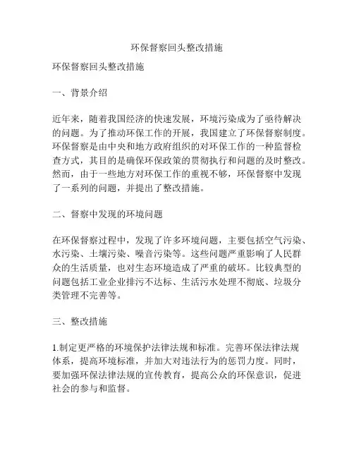 环保督察回头整改措施
