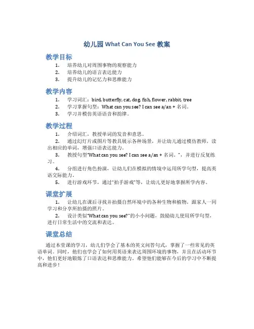 幼儿园whatcanyousee教案