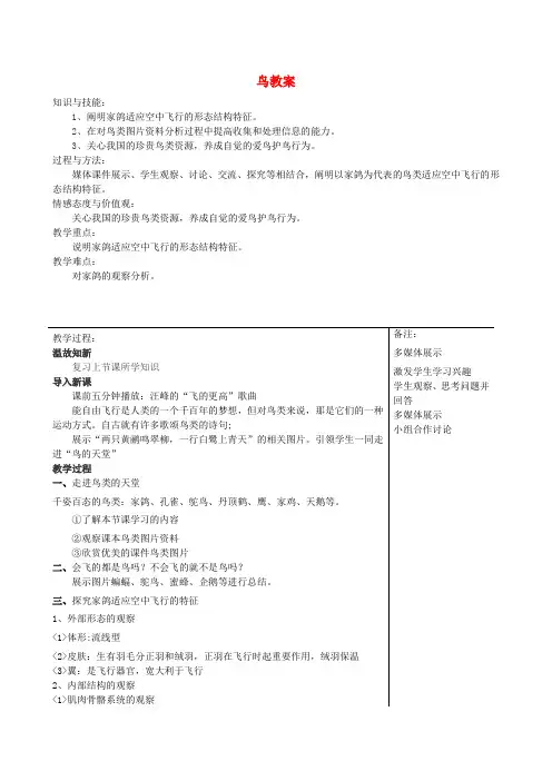 八年级生物上册 鸟教案 (新版)新人教版