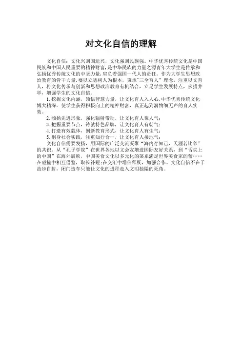 对文化自信的理解500字