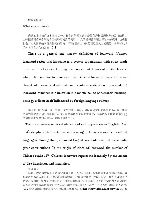 什么是借词