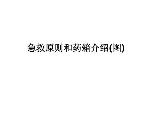 急救原则和药箱介绍(图)ppt课件