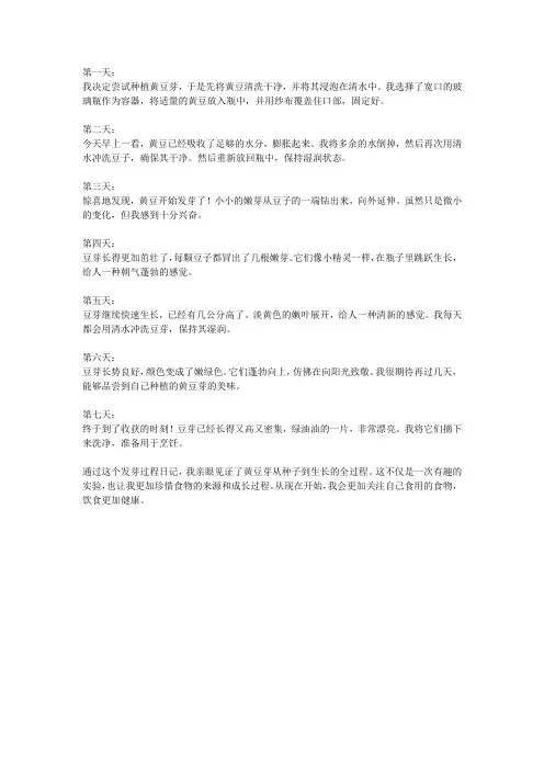 黄豆芽发芽过程日记