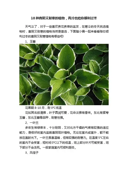 10种喜阴又耐寒的植物，再冷也陪你顺利过冬