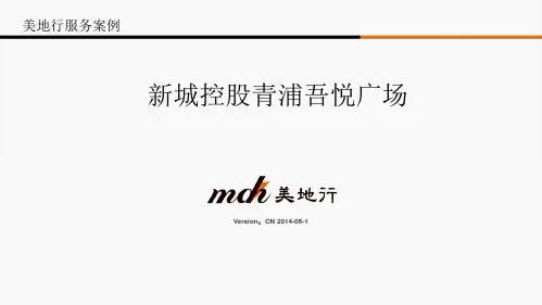 上海青浦吾悦广场项目策划