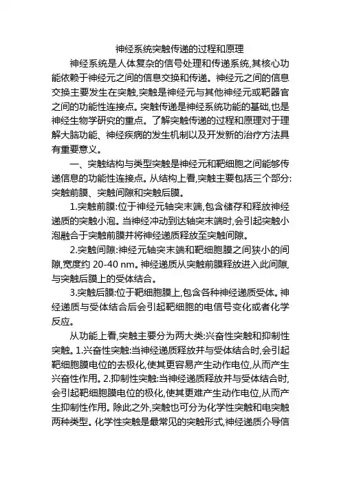 神经系统突触传递的过程和原理