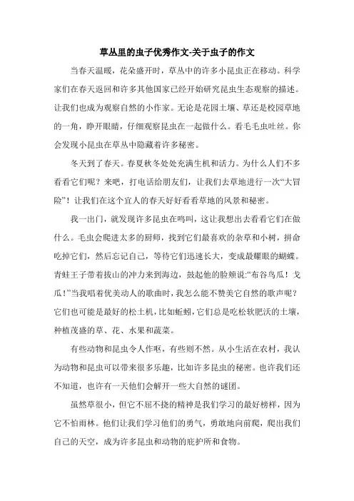 草丛里的虫子优秀作文-关于虫子的作文.doc