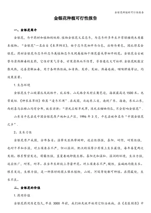 金银花种植的可行性报告