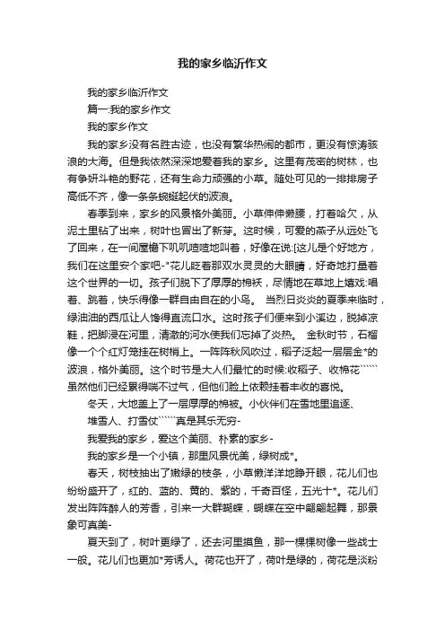 我的家乡临沂作文