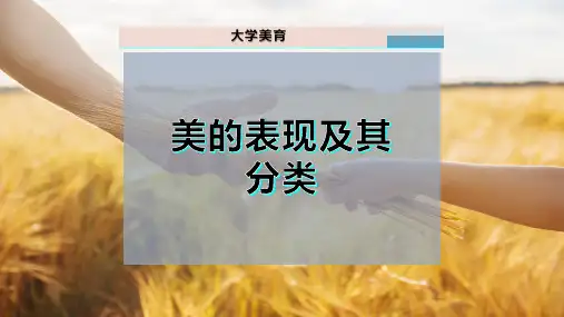 美的表现及其分类